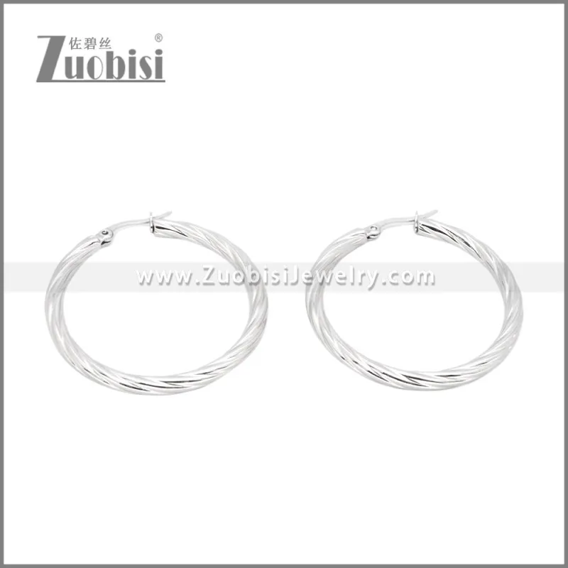 Stainless Steel Earrings e002384S