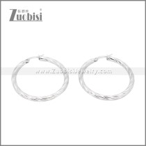 Stainless Steel Earrings e002384S