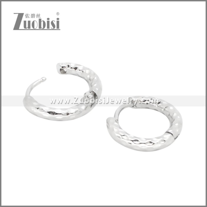 Stainless Steel Earrings e002392