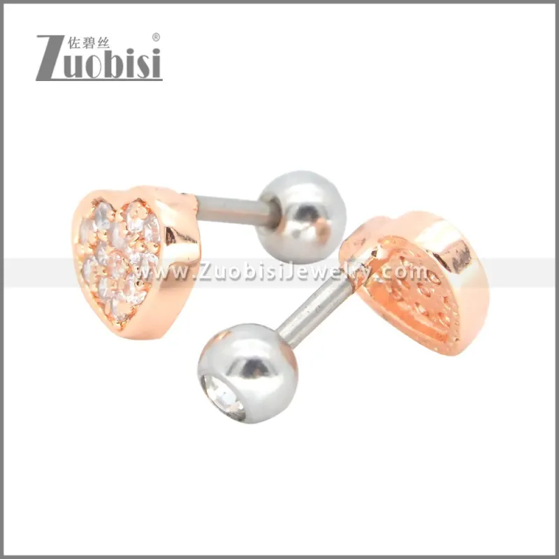 Stainless Steel Earrings e002398A