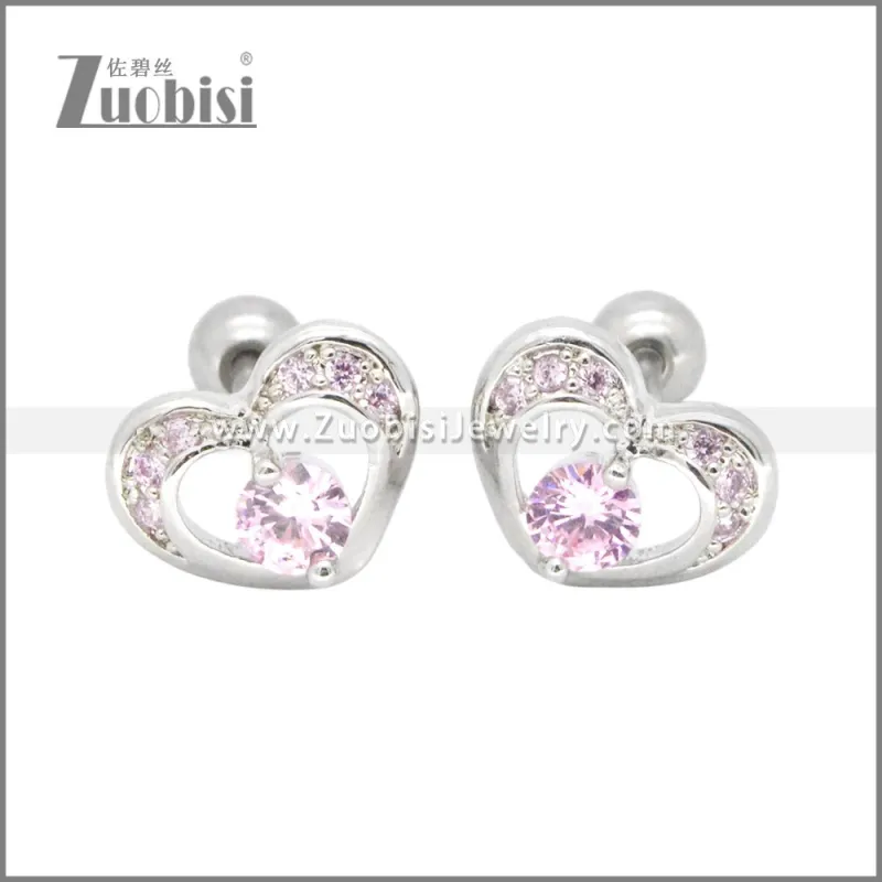 Stainless Steel Earrings e002406R
