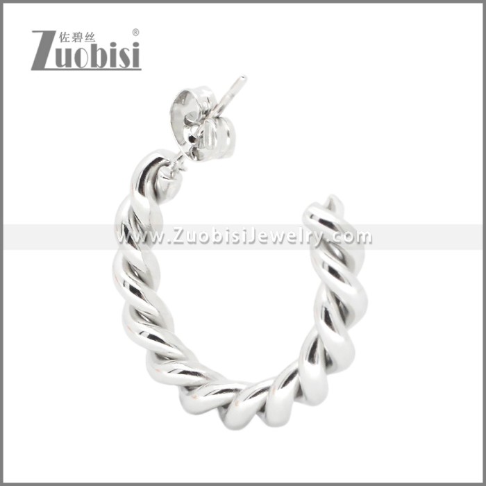 Stainless Steel Earrings e002373S
