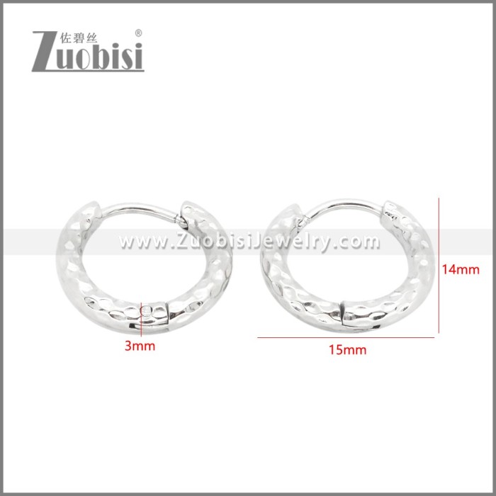 Stainless Steel Earrings e002392