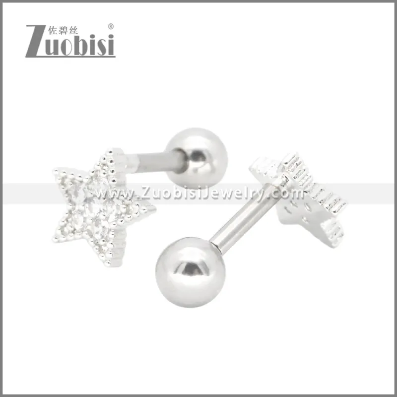 Stainless Steel Earrings e002377S