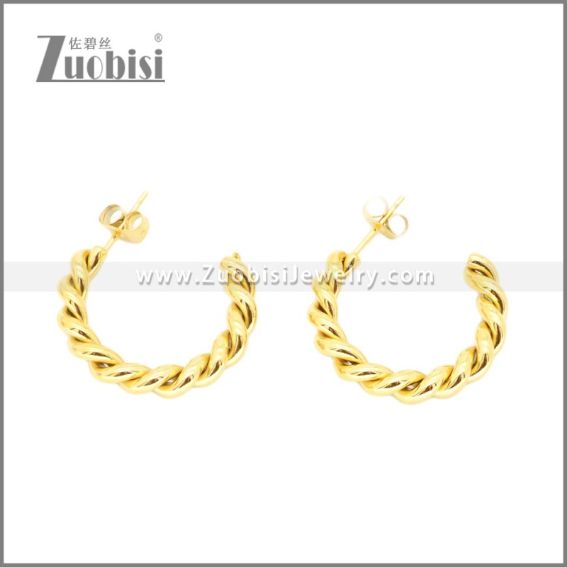 Stainless Steel Earrings e002373G