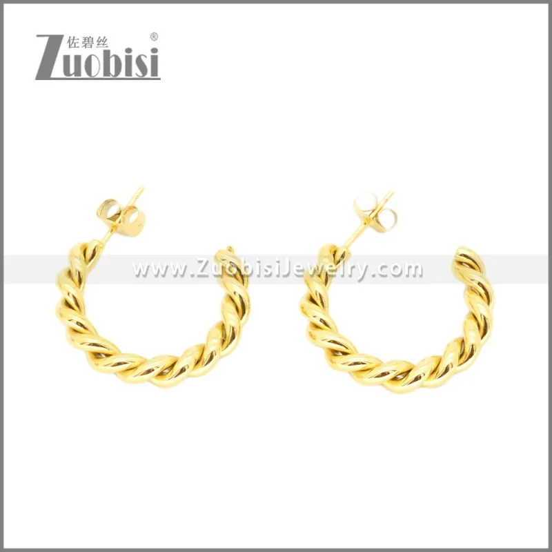 Stainless Steel Earrings e002373G