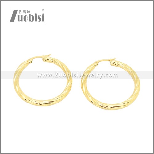 Stainless Steel Earrings e002384G