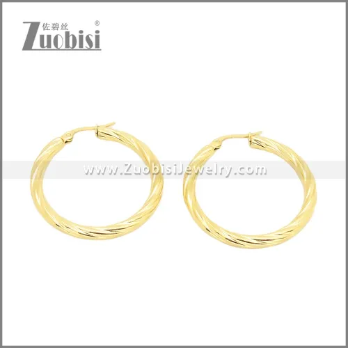 Stainless Steel Earrings e002384G