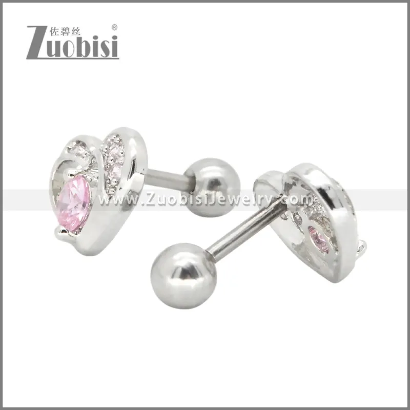 Stainless Steel Earrings e002406R