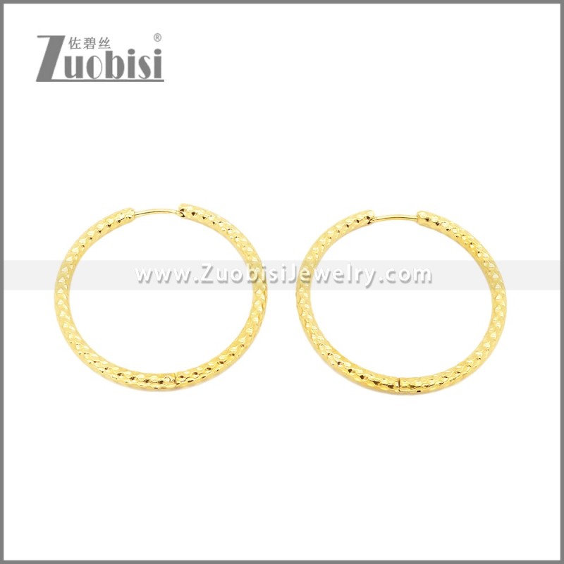 Stainless Steel Earrings e002386G