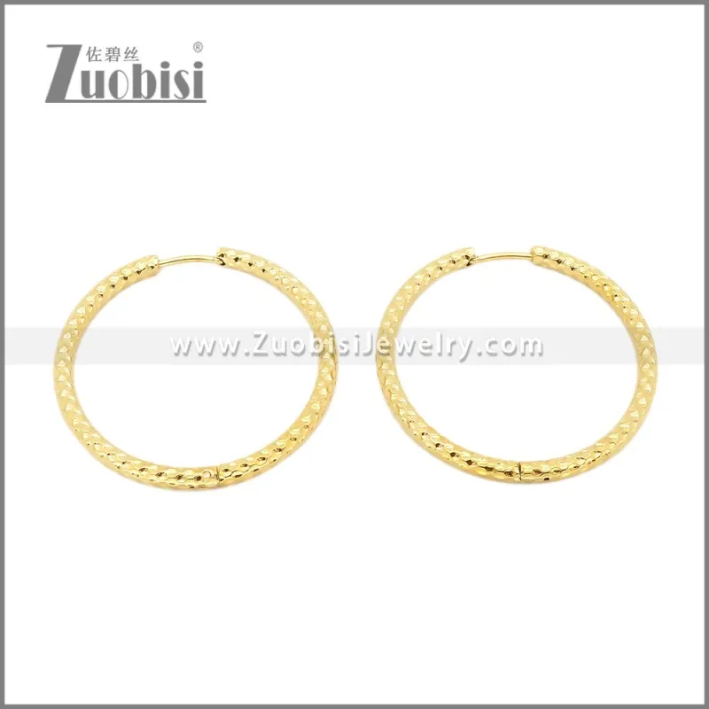 Stainless Steel Earrings e002386G