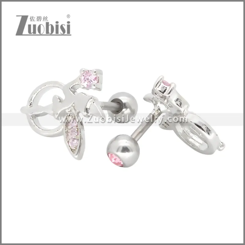 Stainless Steel Earrings e002397R