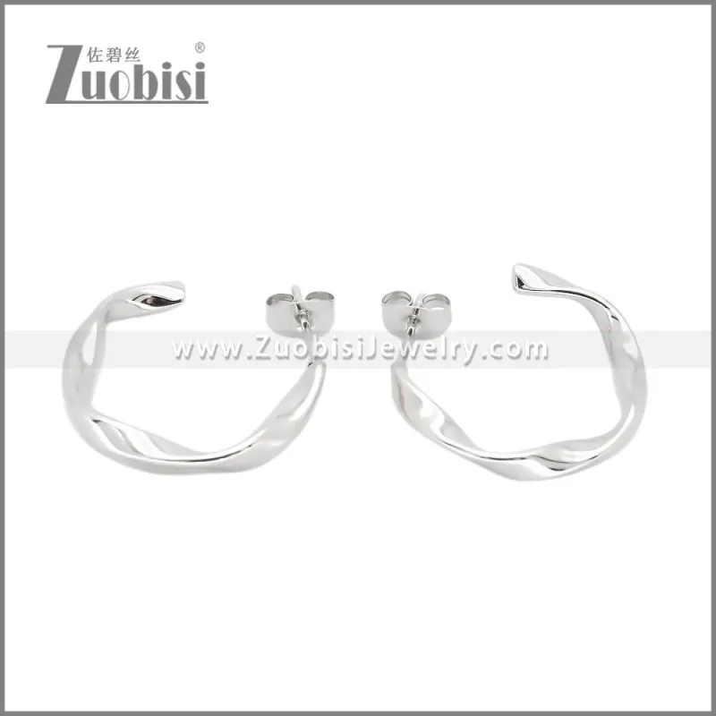 Stainless Steel Earrings e002381S