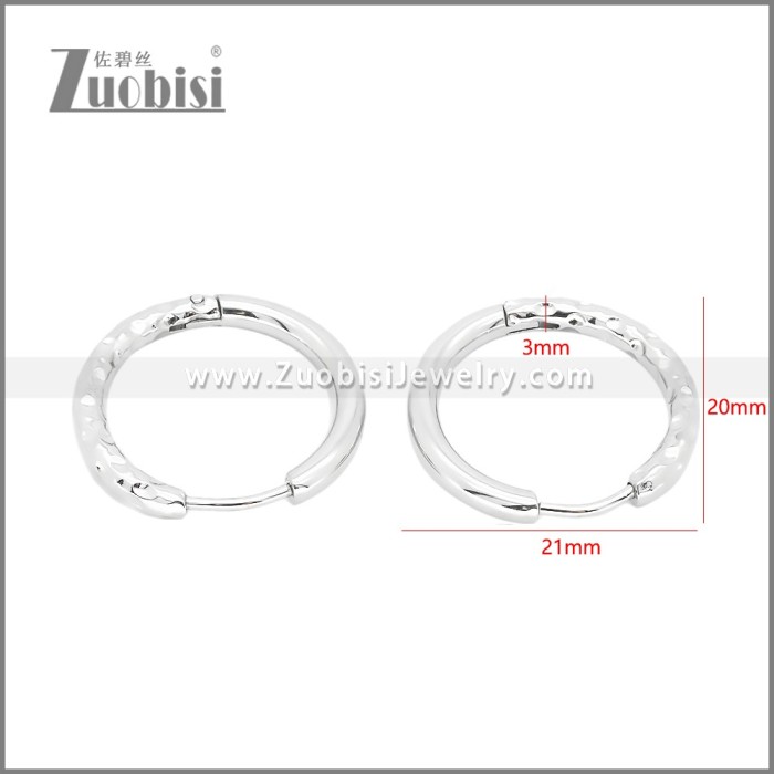 Stainless Steel Earrings e002378S