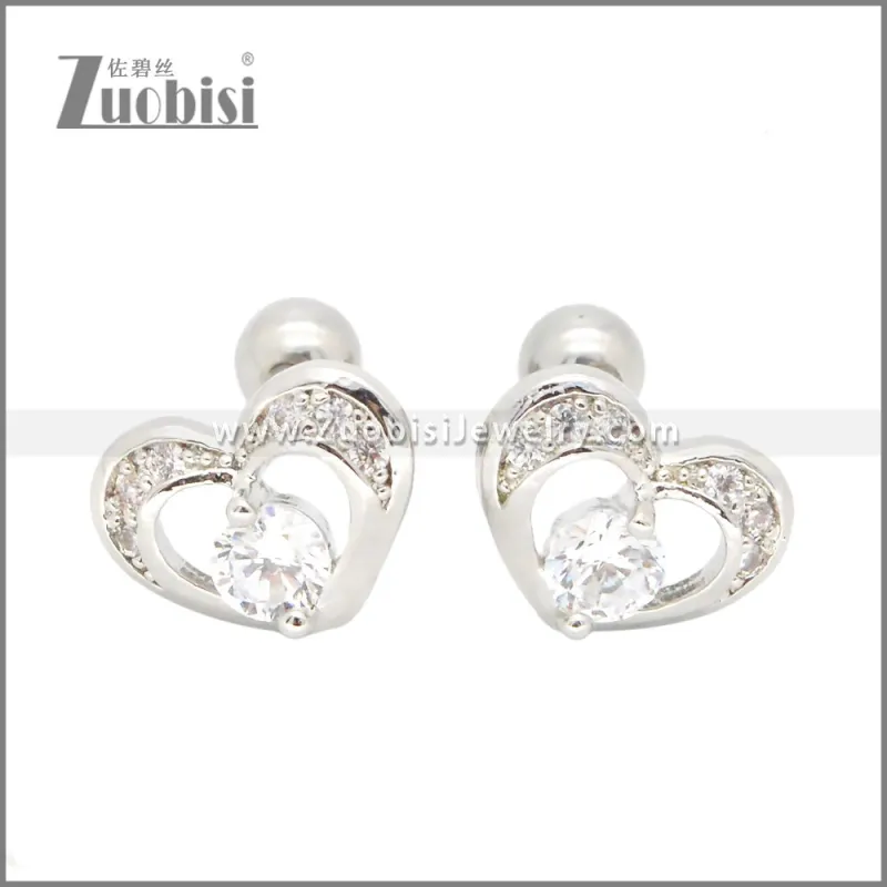 Stainless Steel Earrings e002406S