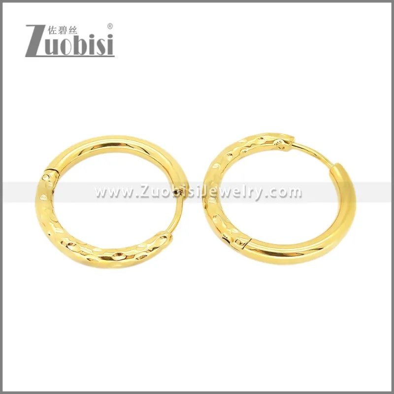 Stainless Steel Earrings e002378G
