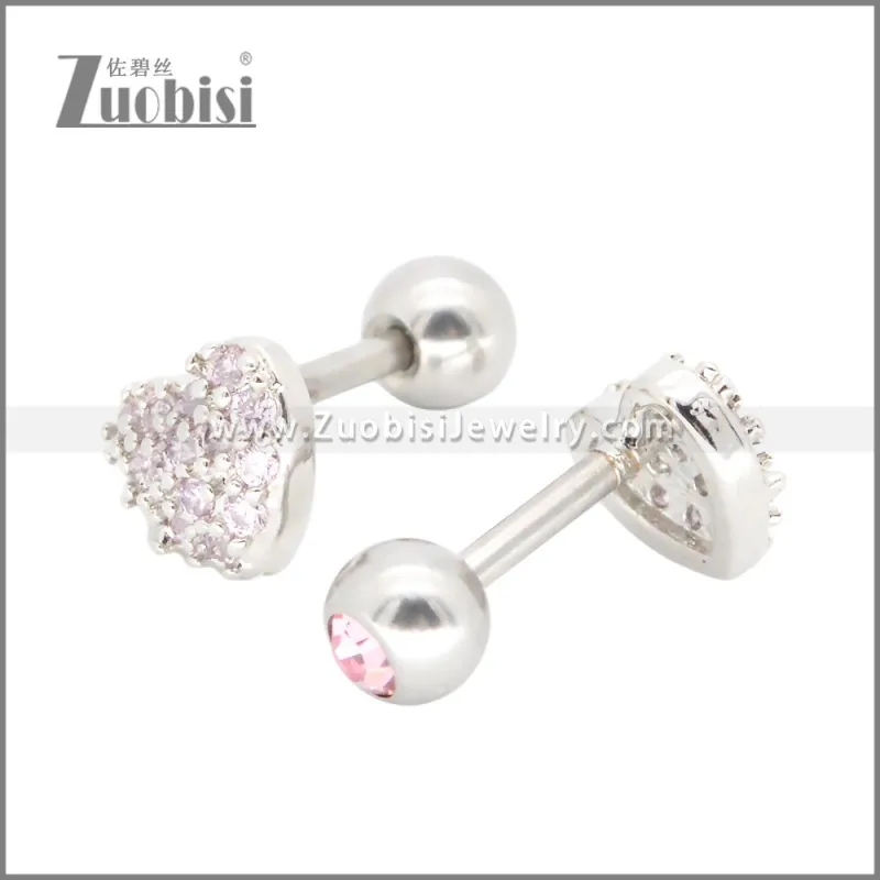 Stainless Steel Earrings e002394R