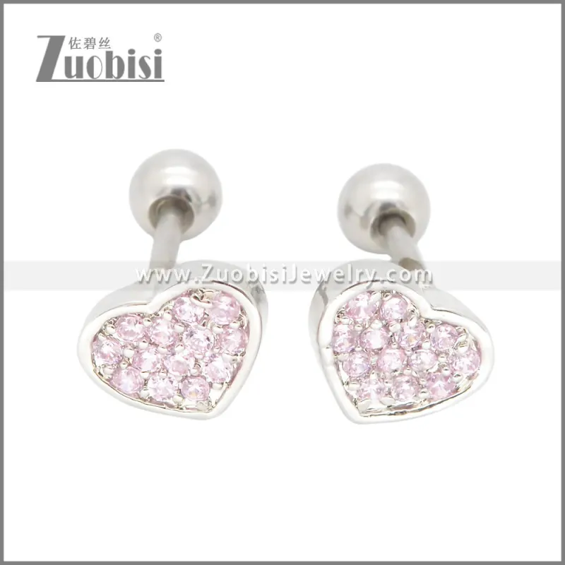 Stainless Steel Earrings e002395R