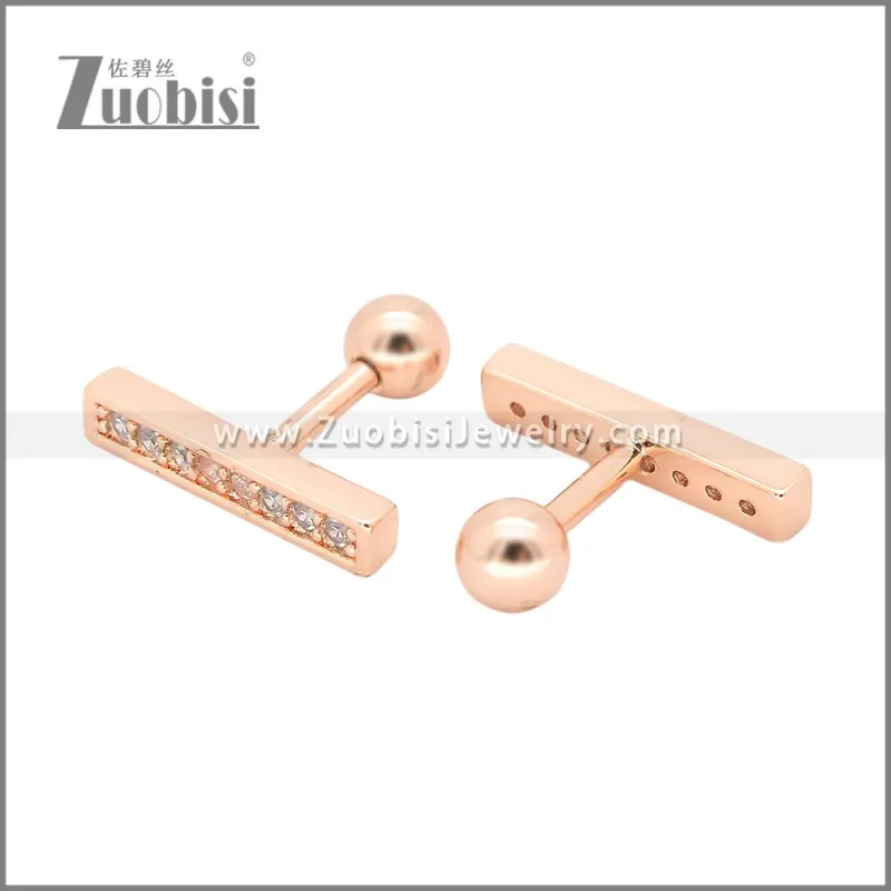 Stainless Steel Earrings e002401A
