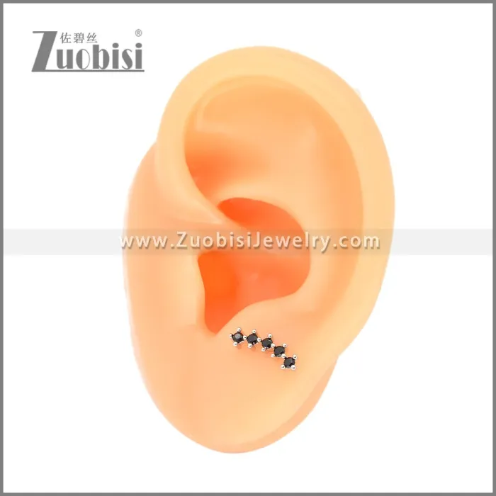 Stainless Steel Earrings e002407S4
