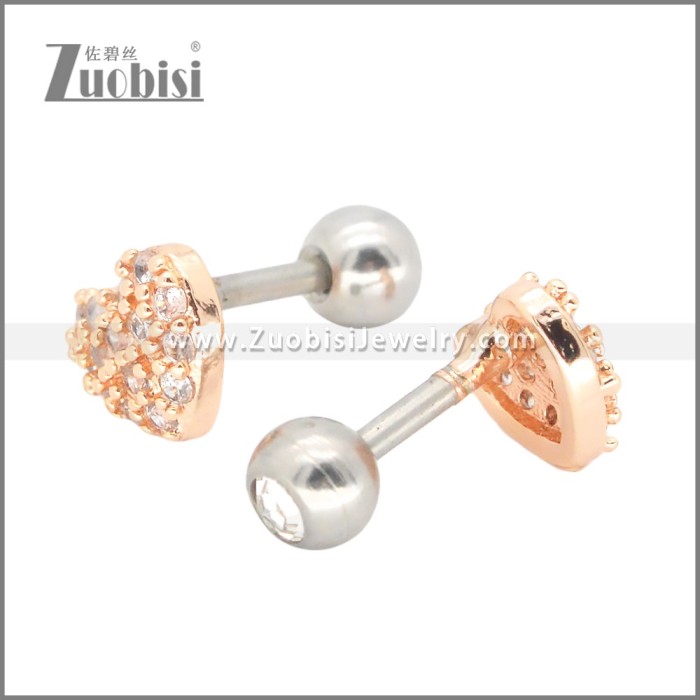 Stainless Steel Earrings e002394A