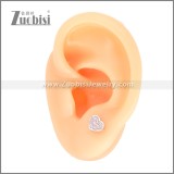 Stainless Steel Earrings e002395R