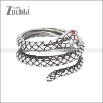 Stainless Steel Ring r009905S