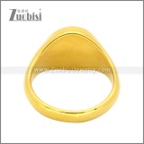 Stainless Steel Ring r009910GS