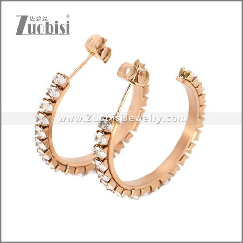 Stainless Steel Earrings e002447R