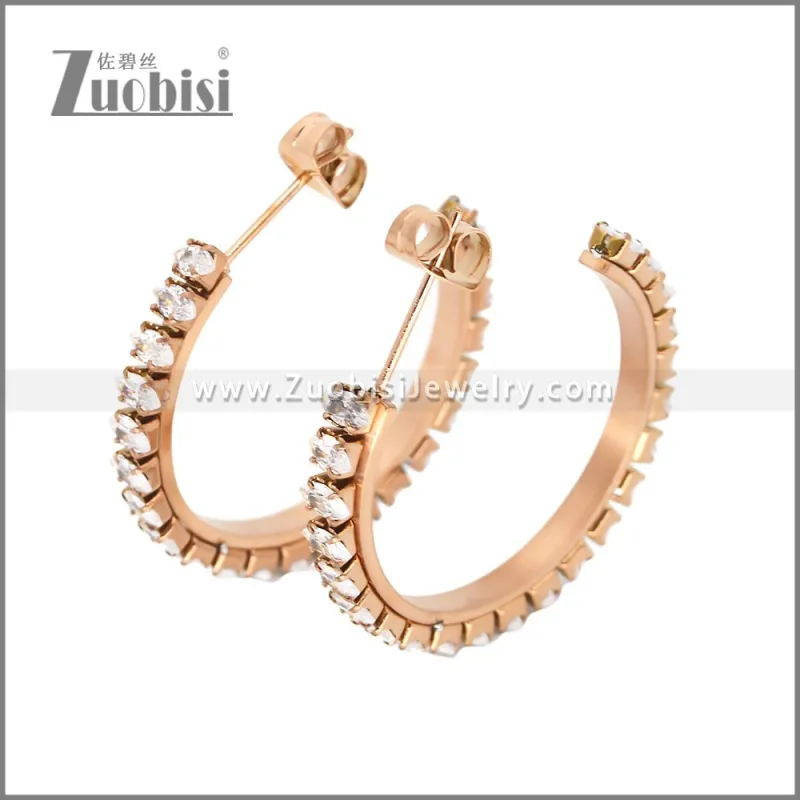 Stainless Steel Earrings e002447R