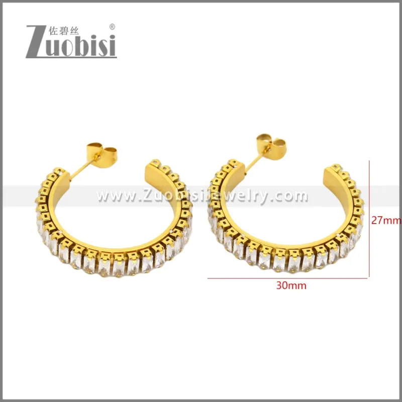 Stainless Steel Earrings e002448G