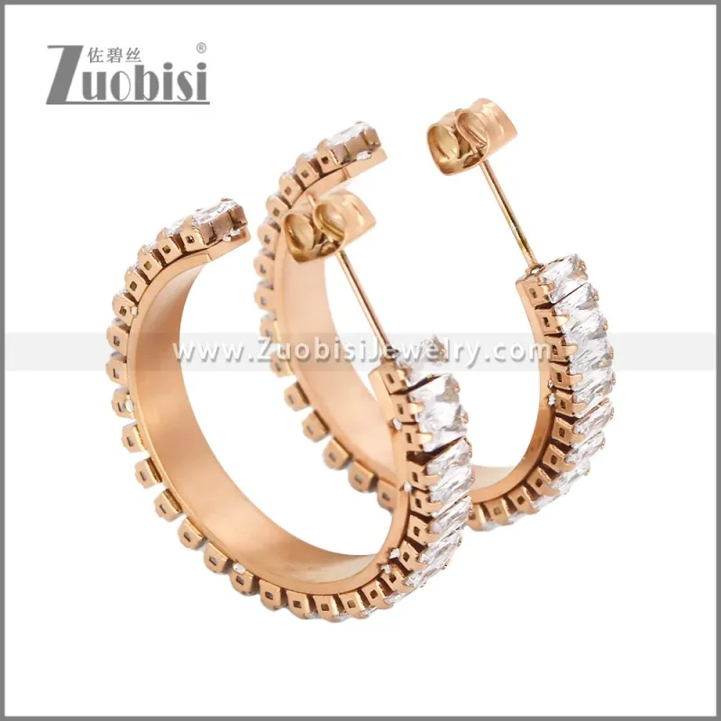 Stainless Steel Earrings e002448R