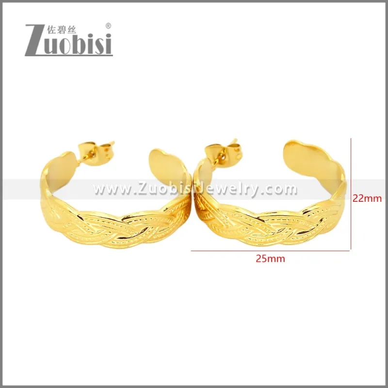 Stainless Steel Earrings e002453G