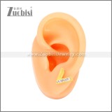 Stainless Steel Earrings e002445G