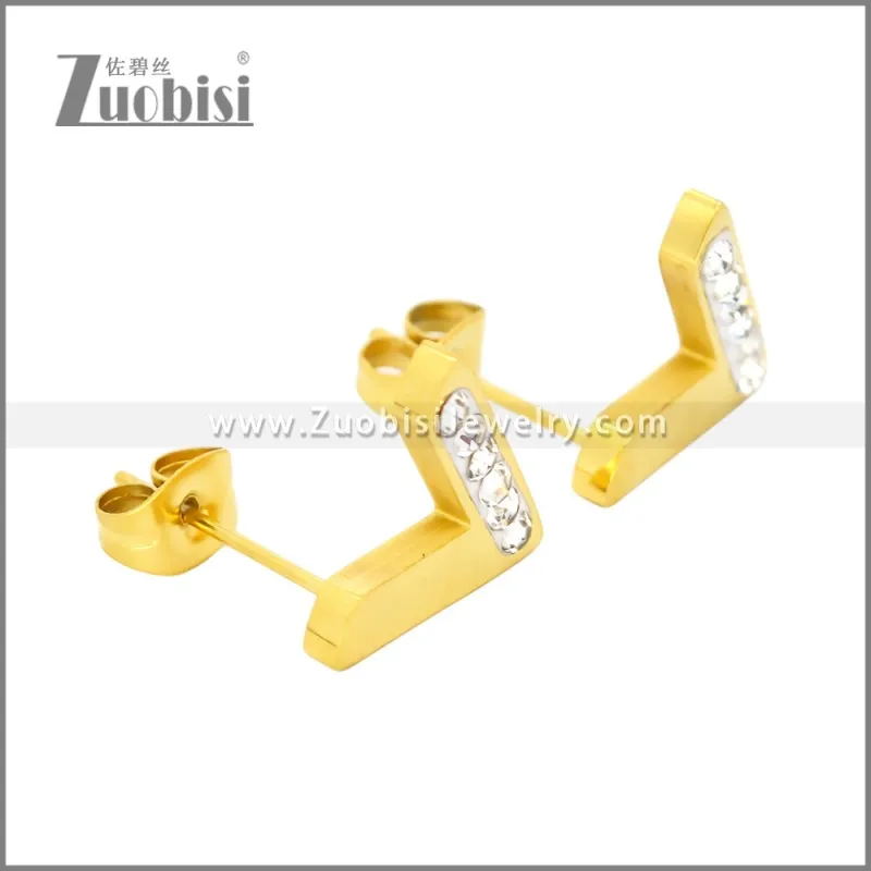 Stainless Steel Earrings e002445G