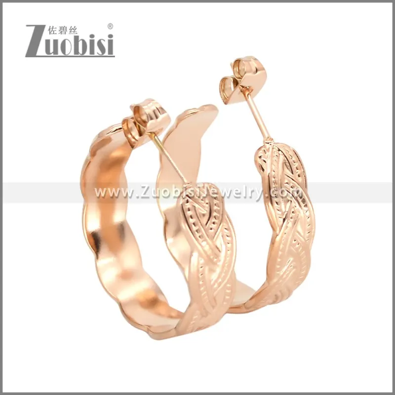 Stainless Steel Earrings e002453R