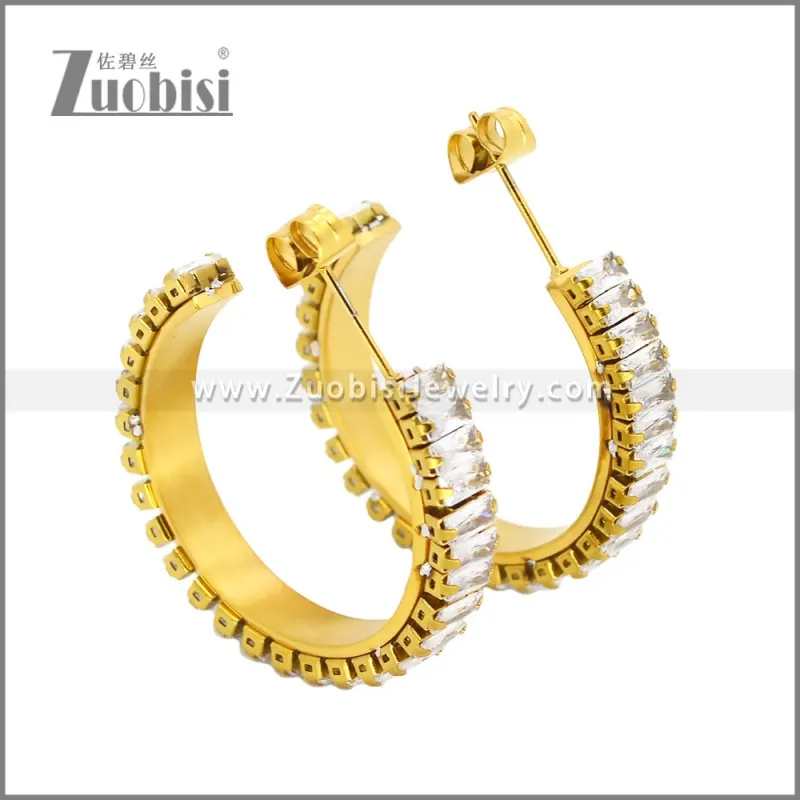 Stainless Steel Earrings e002448G