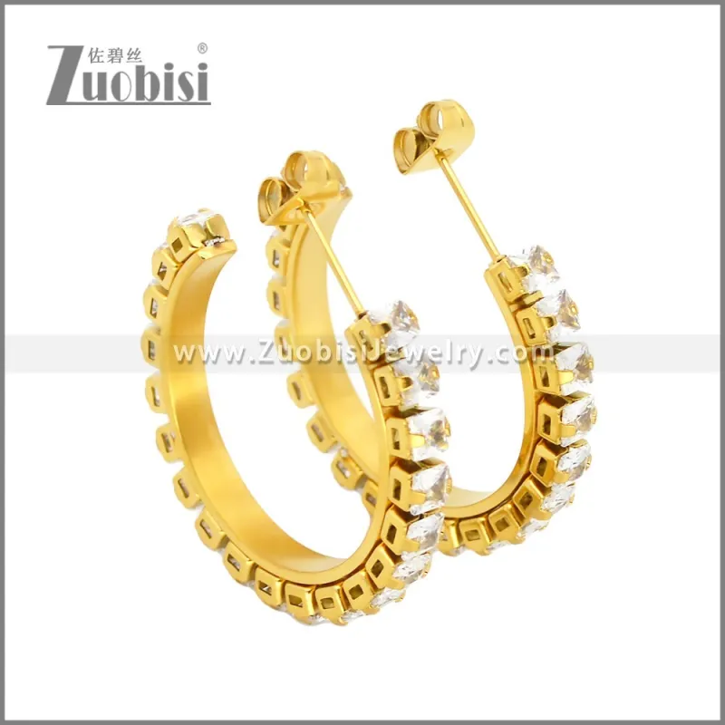 Stainless Steel Earrings e002451G