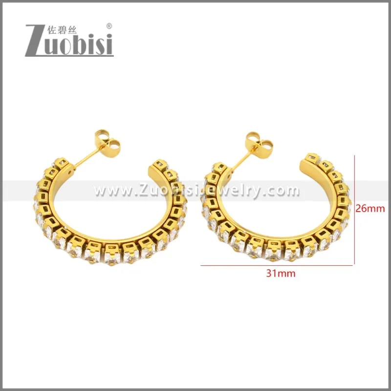 Stainless Steel Earrings e002451G