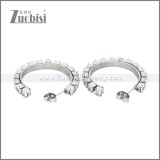 Stainless Steel Earrings e002449S