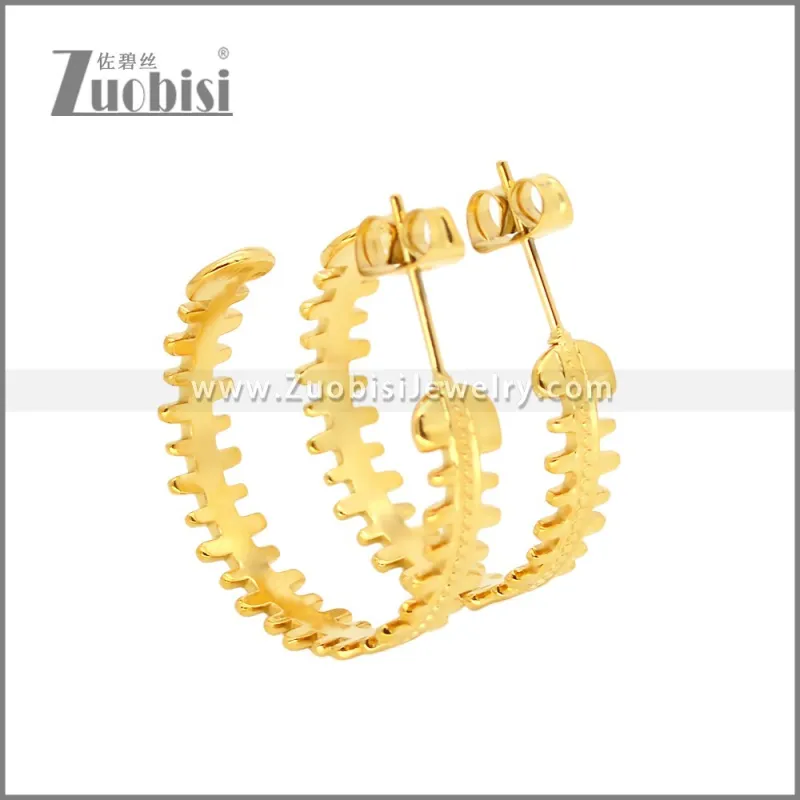 Stainless Steel Earrings e002456G