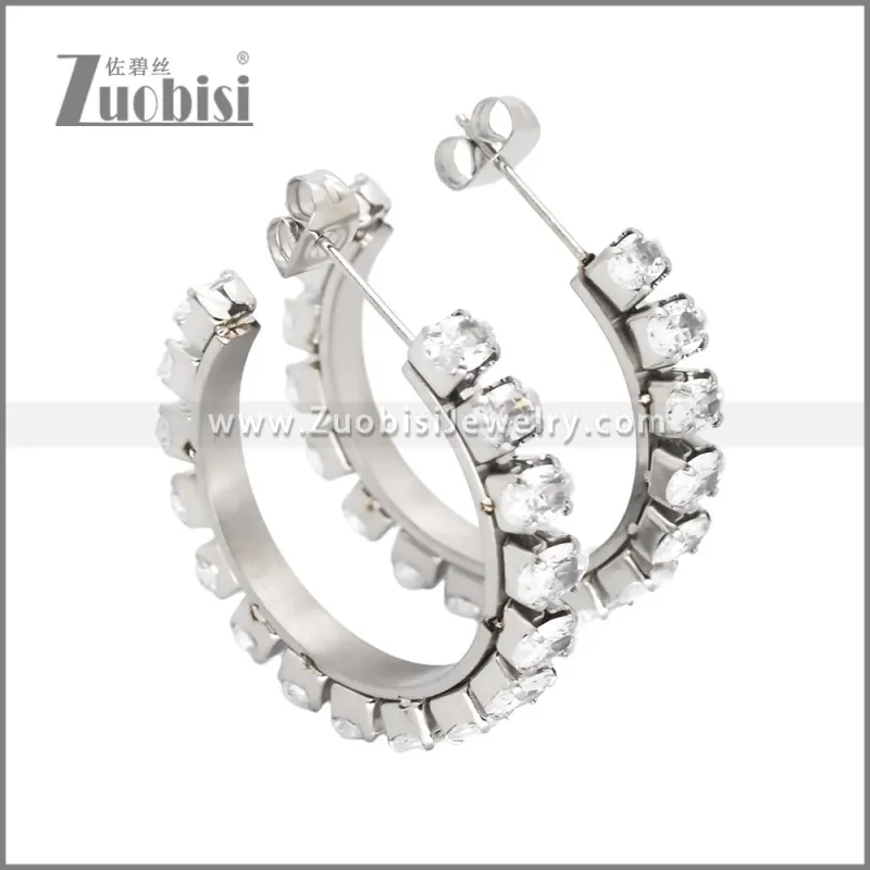 Stainless Steel Earrings e002449S