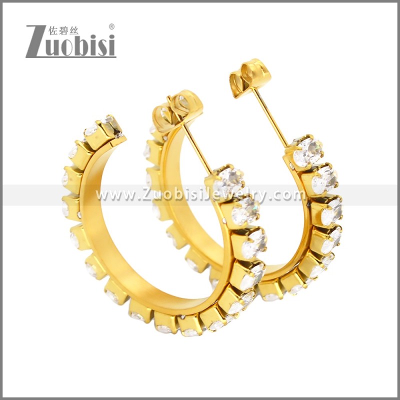 Stainless Steel Earrings e002449G