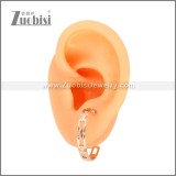 Stainless Steel Earrings e002458R