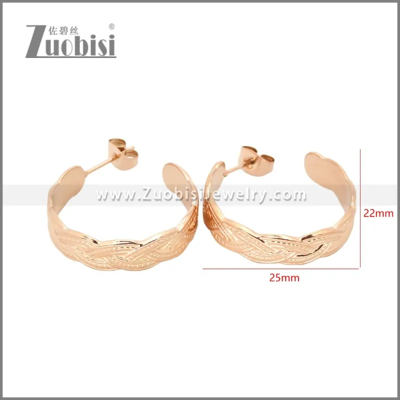Stainless Steel Earrings e002453R