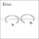 Stainless Steel Earrings e002447S