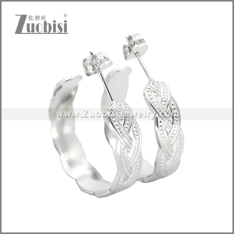Stainless Steel Earrings e002453S