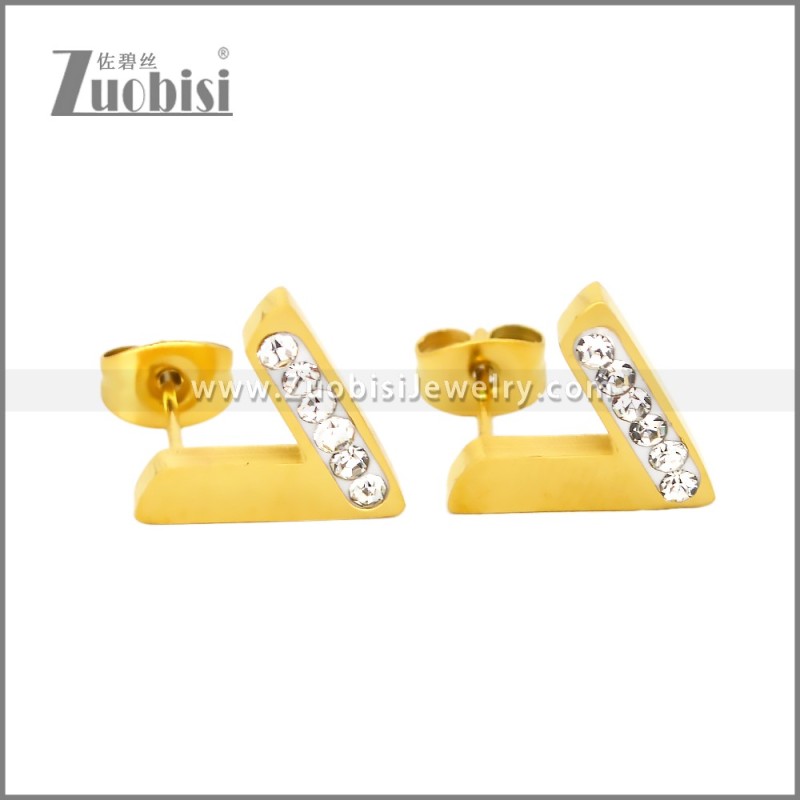 Stainless Steel Earrings e002445G