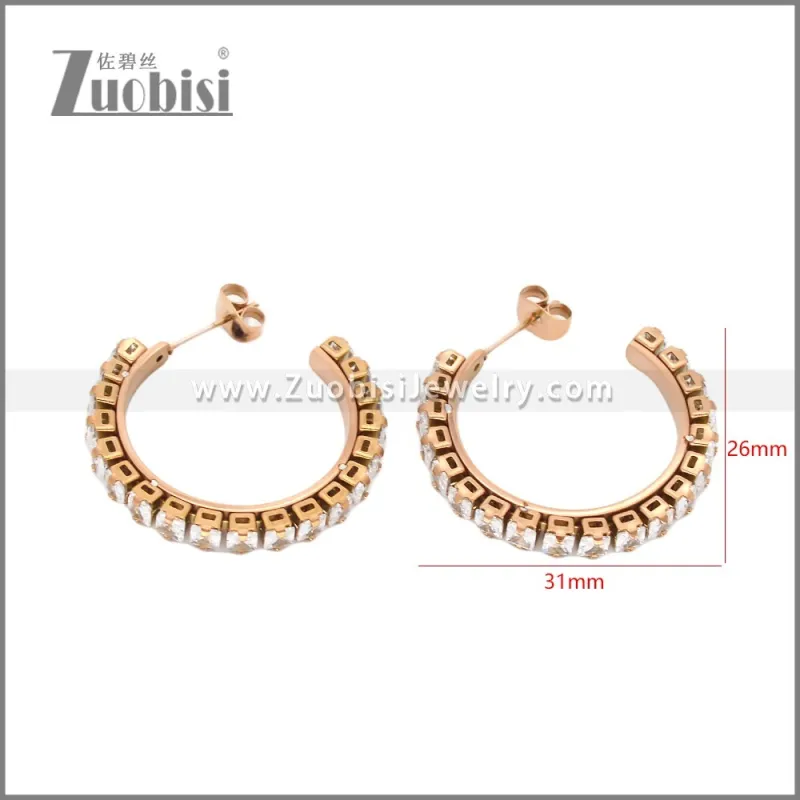 Stainless Steel Earrings e002451R