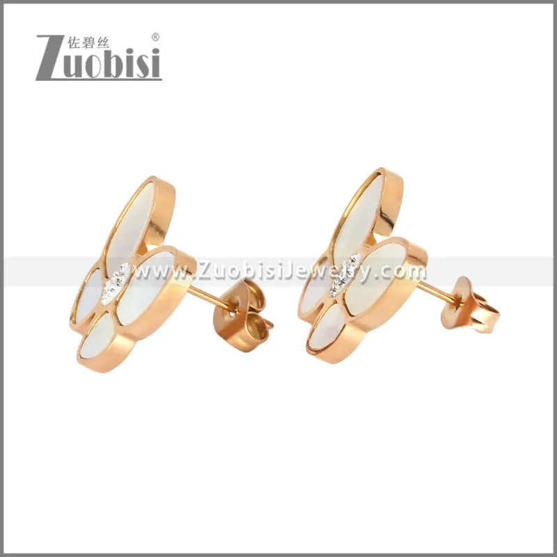 Stainless Steel Earrings e002444R
